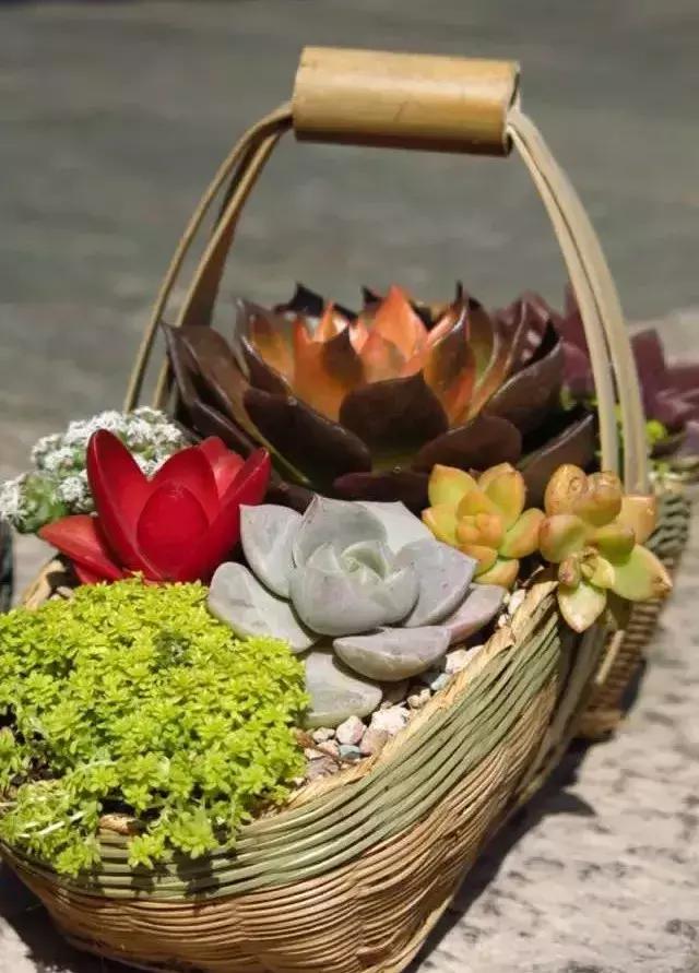 春来花自青秋至叶飘零原文解释,春来花自青秋至叶飘零出自哪里