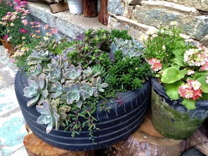 春来花自青秋至叶飘零原文解释,春来花自青秋至叶飘零出自哪里