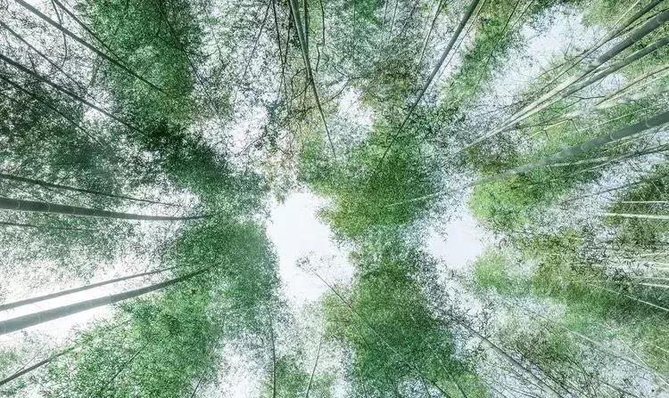 媲美九寨沟的碧湖潭，被誉为萍乡小三峡，是不可错过的世外仙境