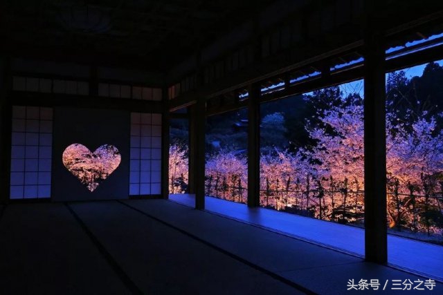 2018最美樱花限定来袭,都是圈钱的祖宗啊