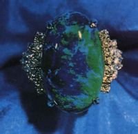 欧泊宝石什么材质,欧珀和欧泊是一个品牌吗