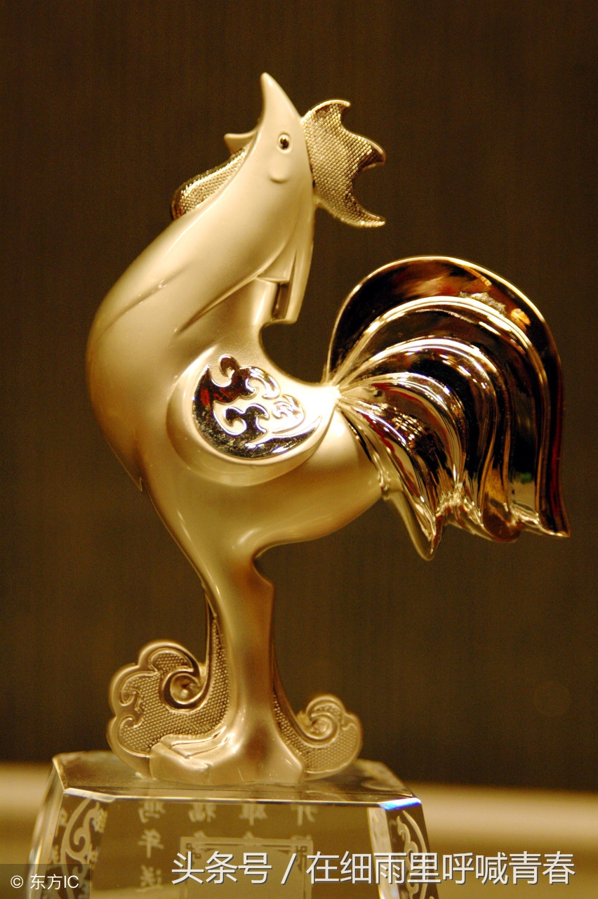 属猪猴鸡狗哪个属相合适,属狗属猴属鸡人合财吗