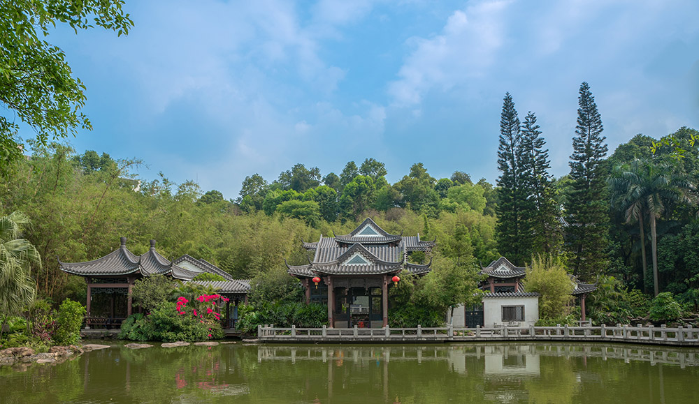 单反定焦和变焦对比,单反相机怎么选性价比高的