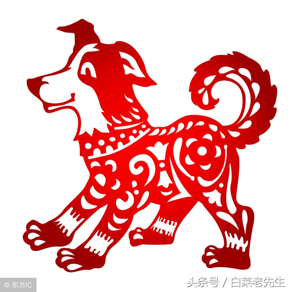 梦见十二属相是什么意思,梦到十二生肖体像