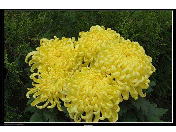 农民诗人诗潮涌——追记“洞庭歌王”潘之美