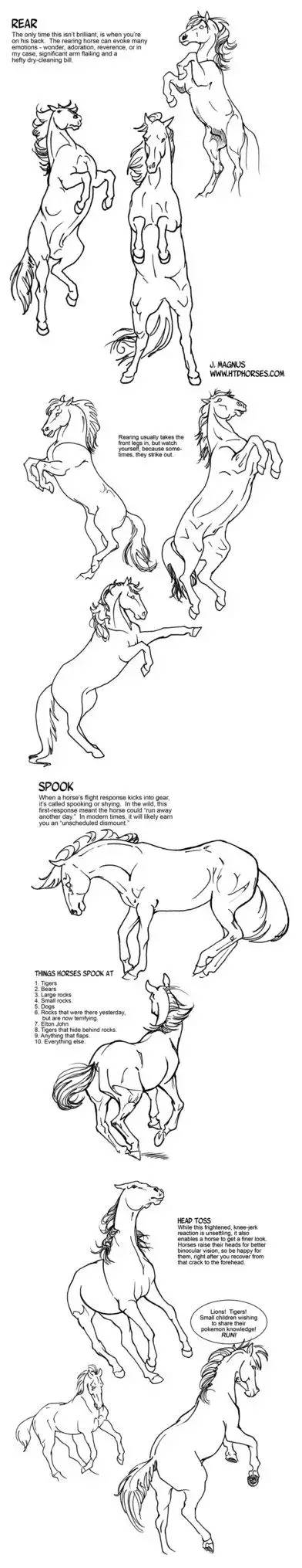 一分钟学会画一个狗,一分钟教你学会画马