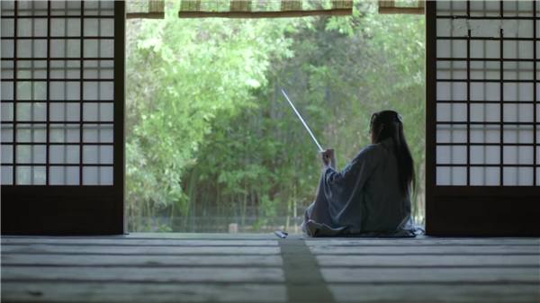 琅琊榜梅长苏蔺晨争辩,琅琊榜梅长苏死后蔺晨的一个决定