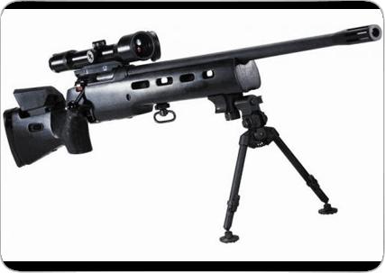 世界名枪狙击,手动枪机步枪