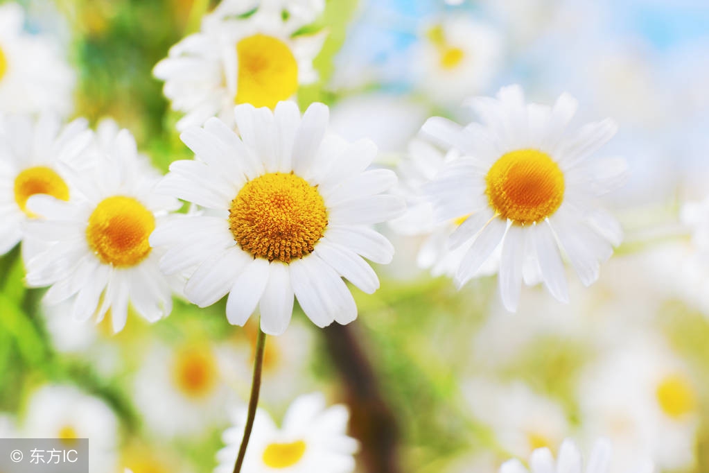 当你感觉到苦时,当你感到累了请记住这几点