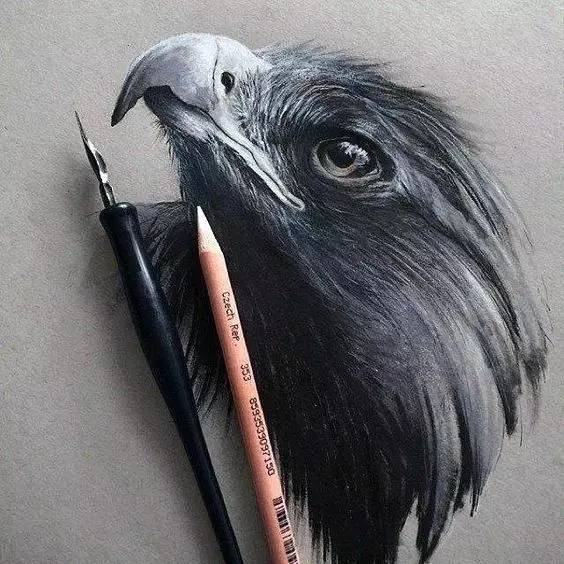 鹰怎么画又霸气又真实,要怎么画真实的老鹰