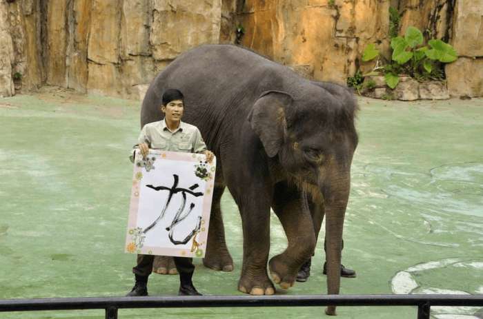 广州长隆野生动物园和广州动物园,广州长隆野生动物园和北京动物园