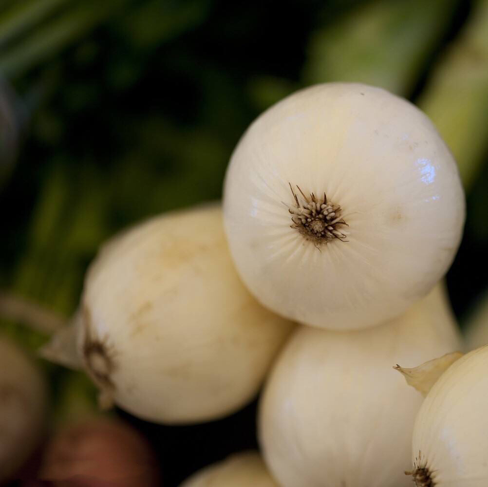 痔疮怎么不治而愈,痔疮有什么方法不让它发作