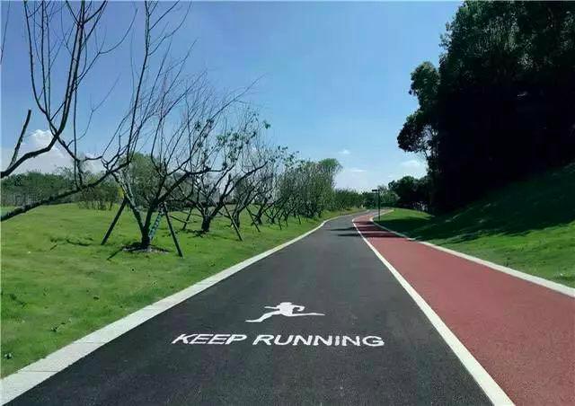 东莞最新开放的大公园,北京南城万亩大公园