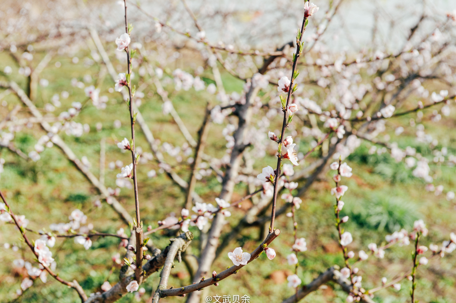 六安九十里山水画廊攻略,六安九十里山水画廊是啥