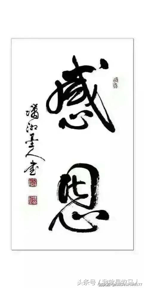 炖牛肉的家常做法四川,炖牛肉的家常做法