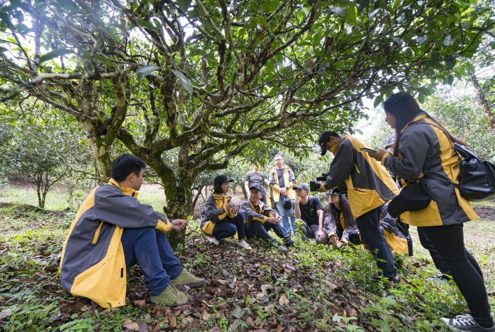 2018最美探寻之旅，“行者精神”刷新茶马古道意涵