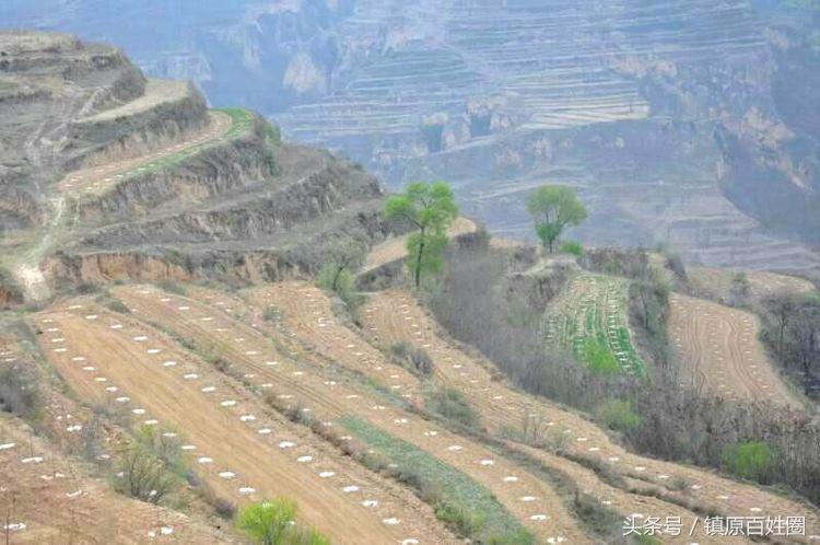 希望的田野唱谱,希望的田野歌曲唢呐