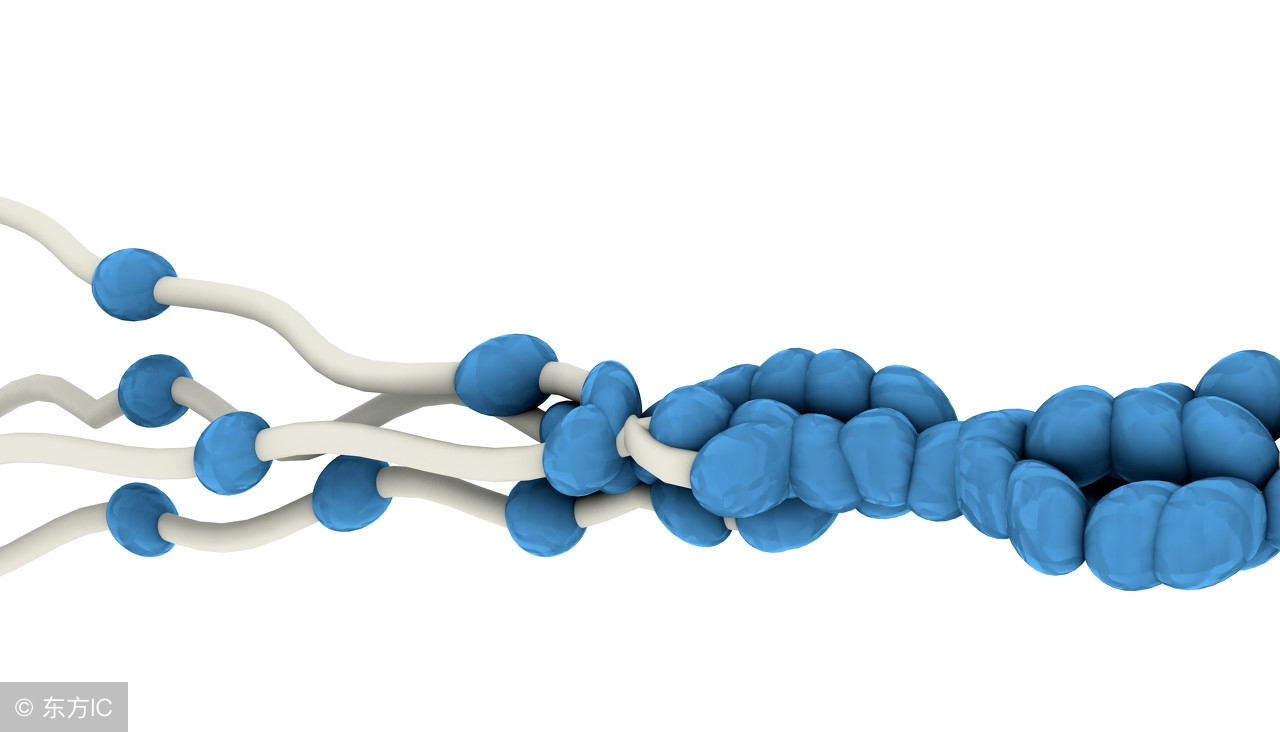 胶原蛋白到底怎么选,胶原蛋白怎么选教你一招轻松辨别