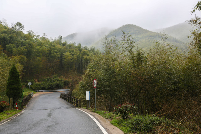 我的名字叫：鱼缸