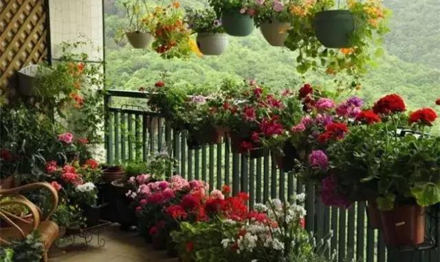 花卉栽不活怎么办,花卉枯萎怎么补救