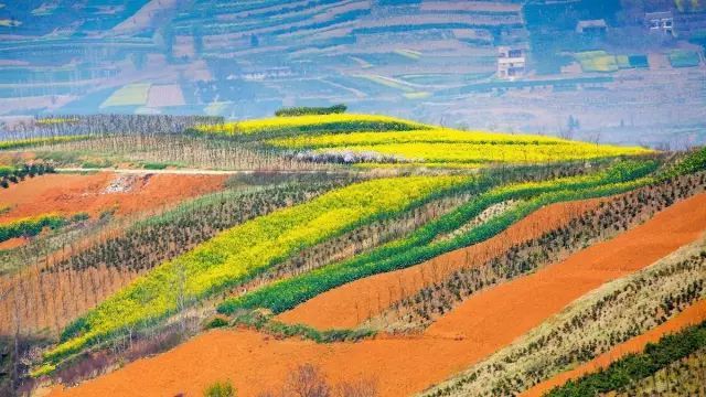 西安清明自驾,西安清明自驾免费景点