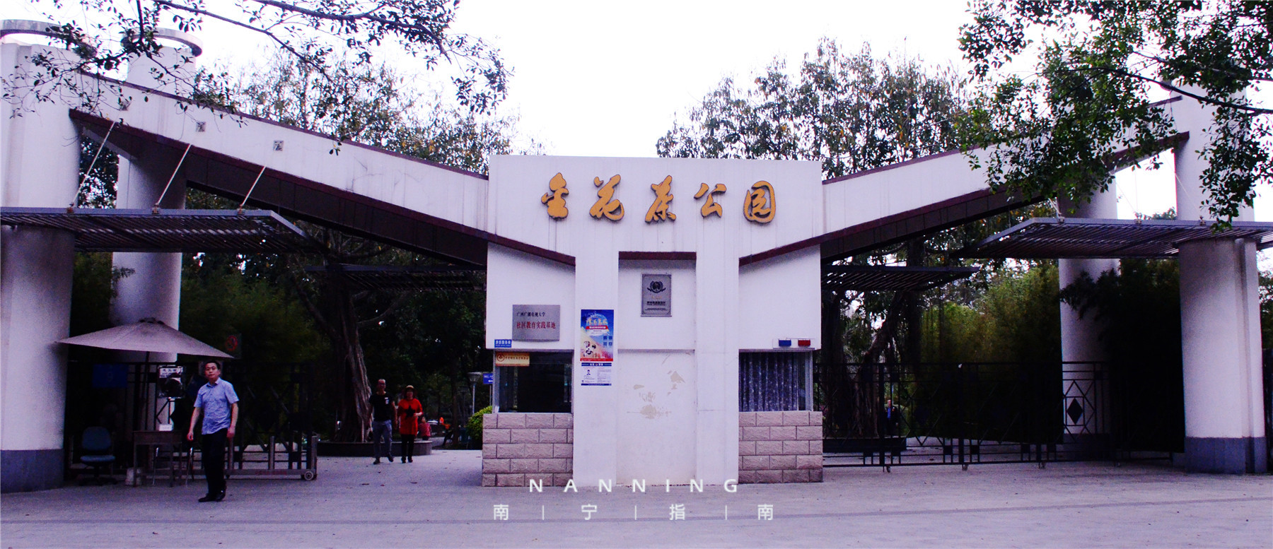 金花茶公园景点,走进金花茶公园