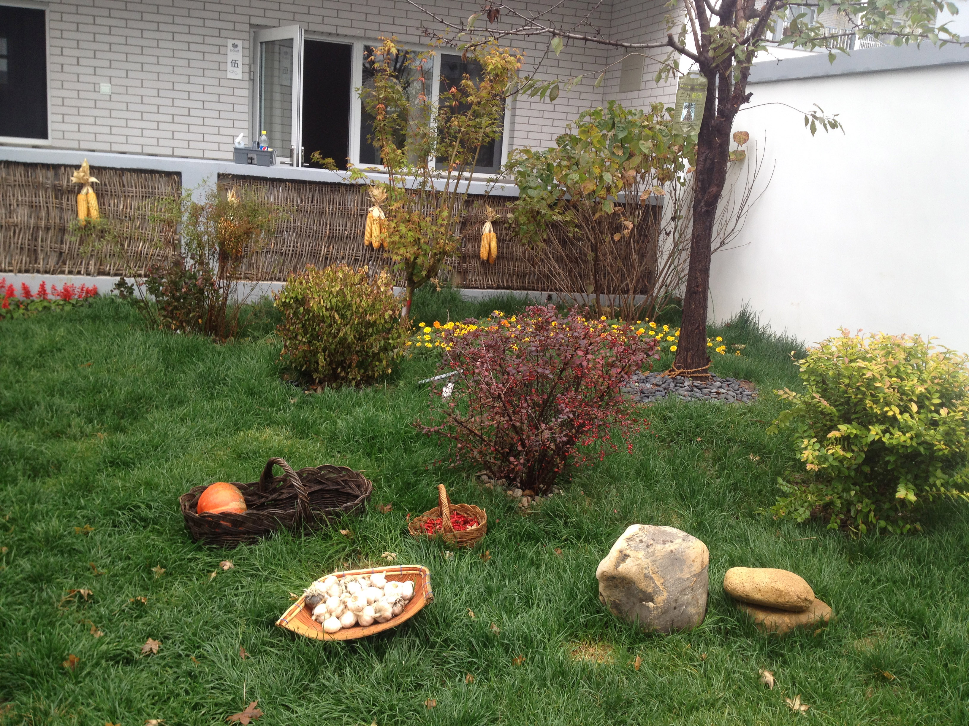 白石山舍精品民宿度假酒店,白石山舍精品民宿度假酒店团购