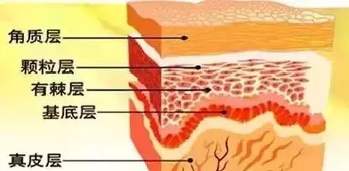 安瓶跟精华液的区别,安瓶和精华区别