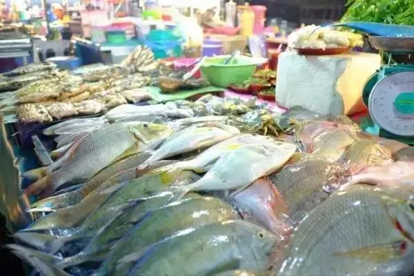 烟台海边海鲜寻找攻略,盘点海鲜市场所有进口大海鲜