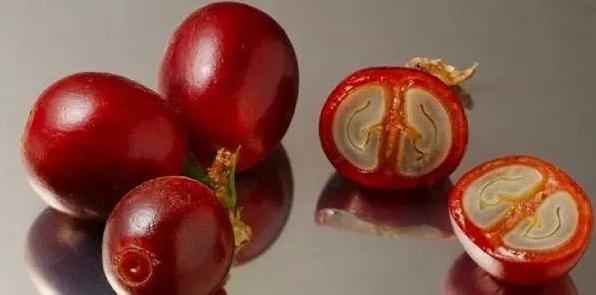 云南小粒咖啡原产地,云南小粒咖啡如何