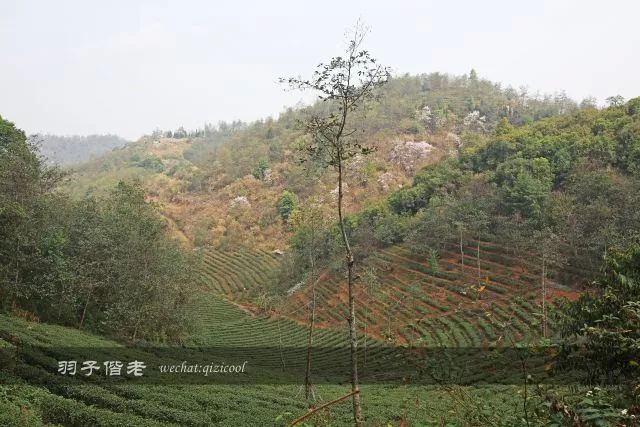 云南沧源靠近哪个国家,云南沧源最好玩的地方