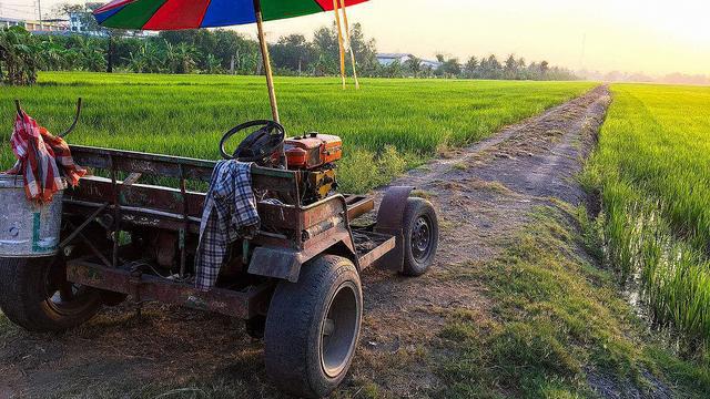 为什么无牌车允许上路,农村道路交通违法专项整治方案