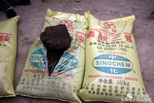 最近二甲戊灵哪里有,查一下今天尿素价格