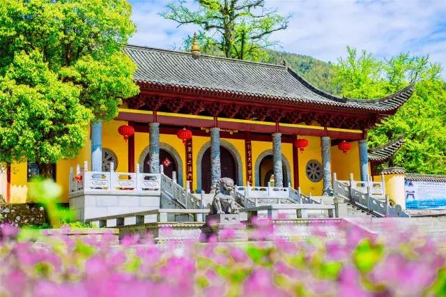 你所不知道的原神,探秘仰山栖隐寺