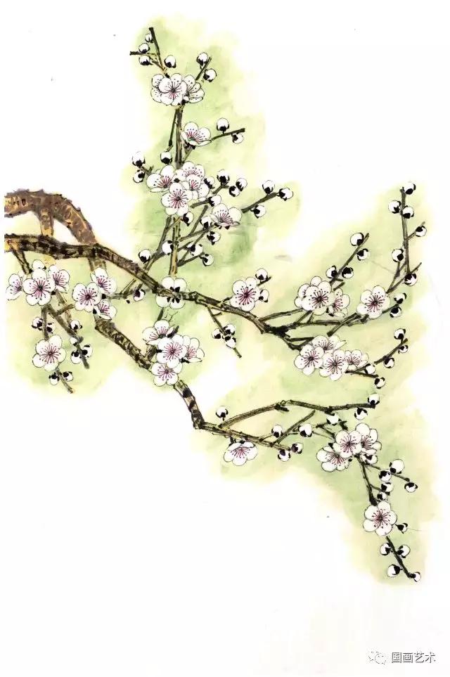 彩墨梅花国画作品欣赏,彩墨梅花画法步骤