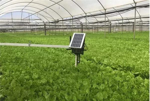 农业物联网技术存在的问题,农业物联网是什么