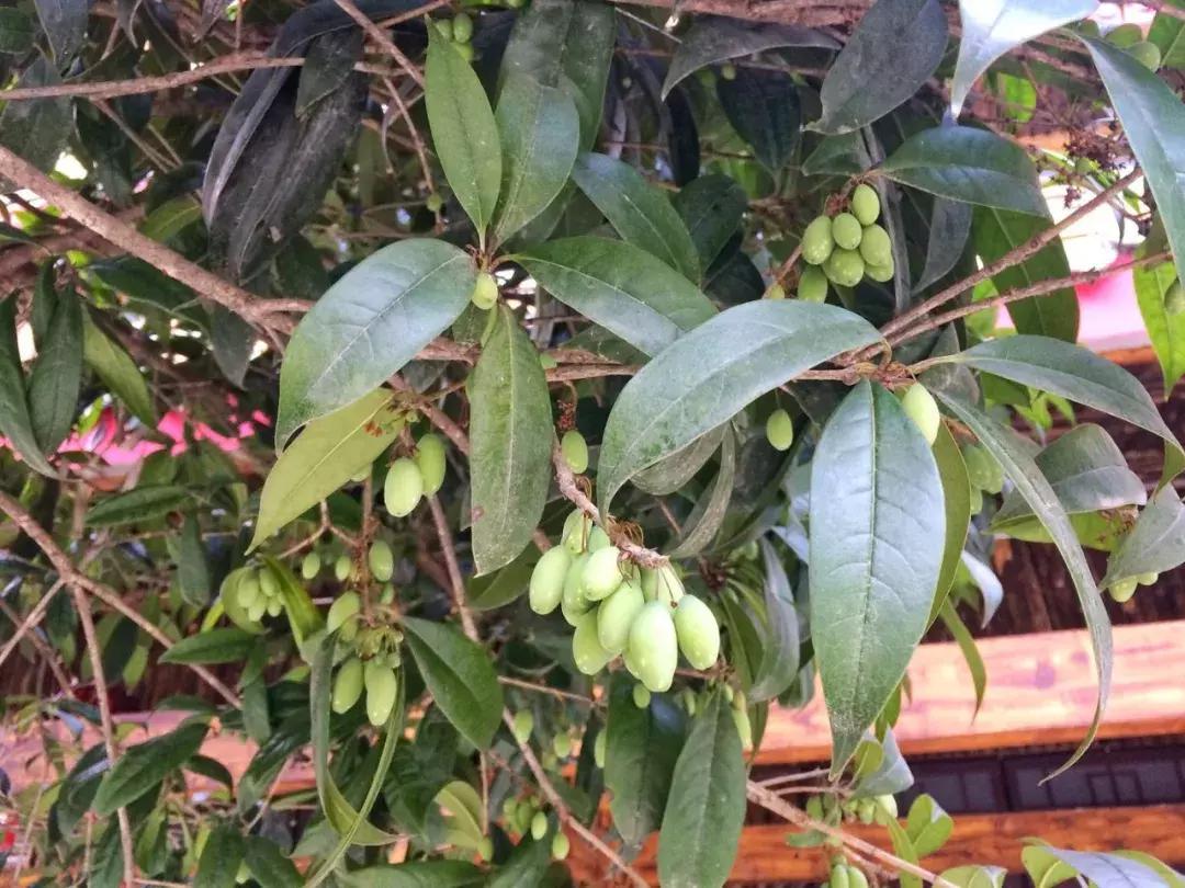 清明踏春一日游必去景点,踏春赏花景点最美推荐