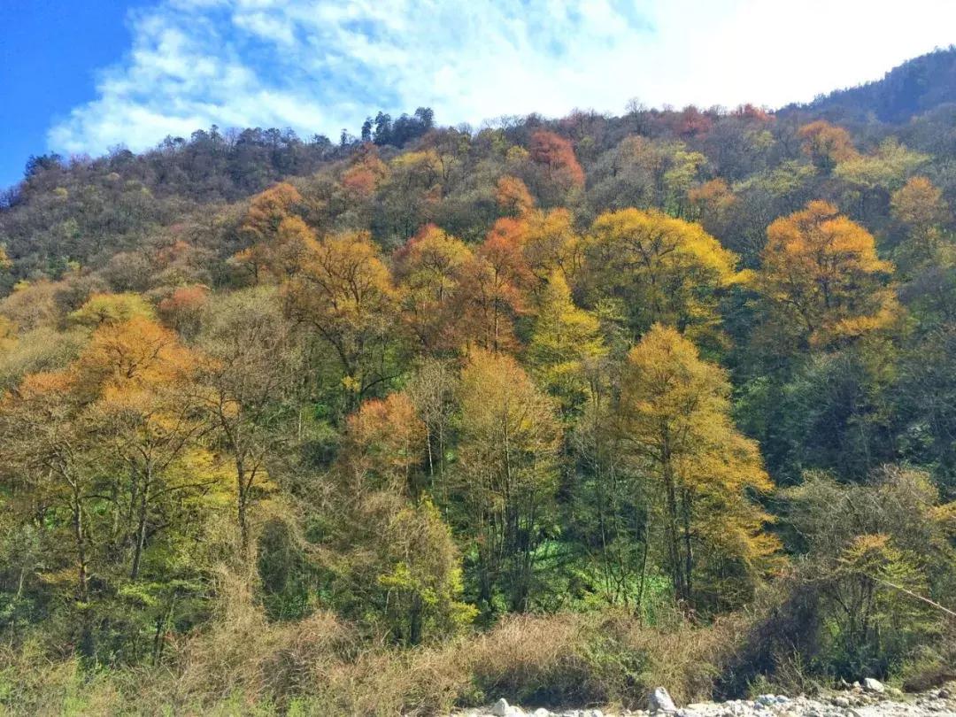 清明踏春一日游必去景点,踏春赏花景点最美推荐