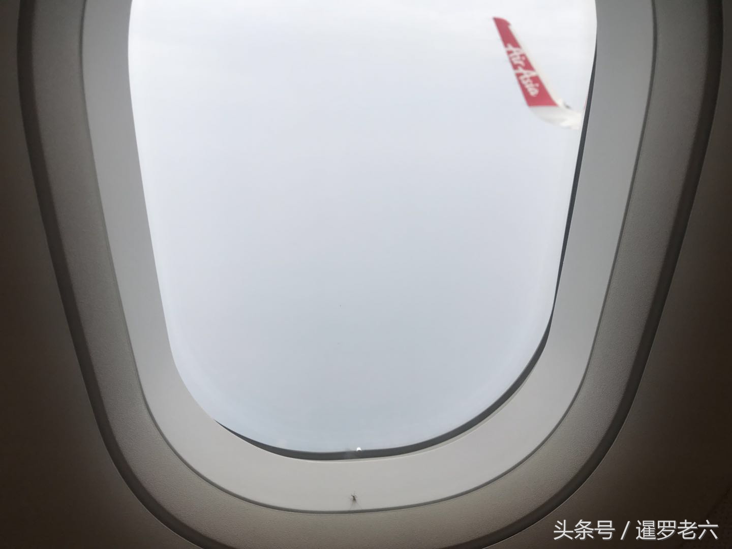 飞机窗户玻璃里面有蚊子,飞机窗玻璃间有蚊子