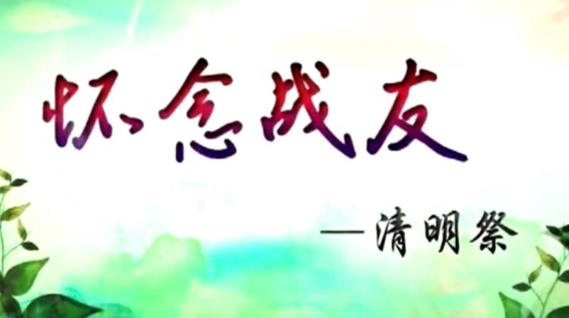 又是一年清明时纪念战友,又是一年清明时祭奠母亲