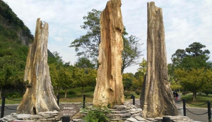 地球演化史地质年代表什么,地球发展史的五个地质年代