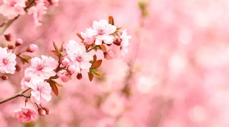 田蕴章每日一字思的行书写法,每日一字思