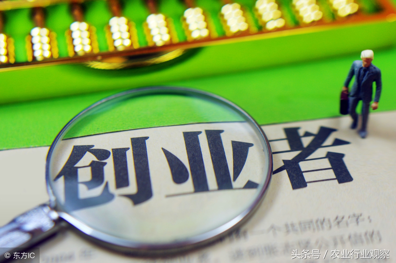 农村创业九个创业好点子,农村创业项目个人创业方案