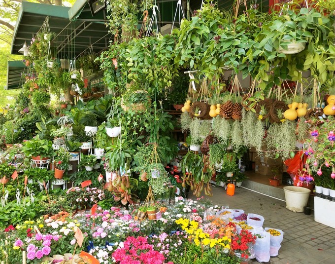 深圳东莞旅游景点推荐,东莞免费景点排名大全集