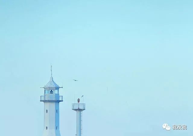 坐禅对人体的好处,坐禅对身体健康有哪些好处