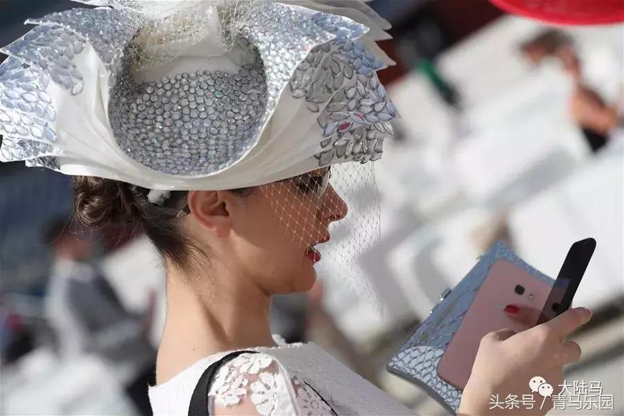 赛马节马的装扮,第27届迪拜赛马世界杯