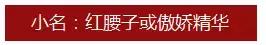 红腰子前男友,前男友买萝卜丁口红
