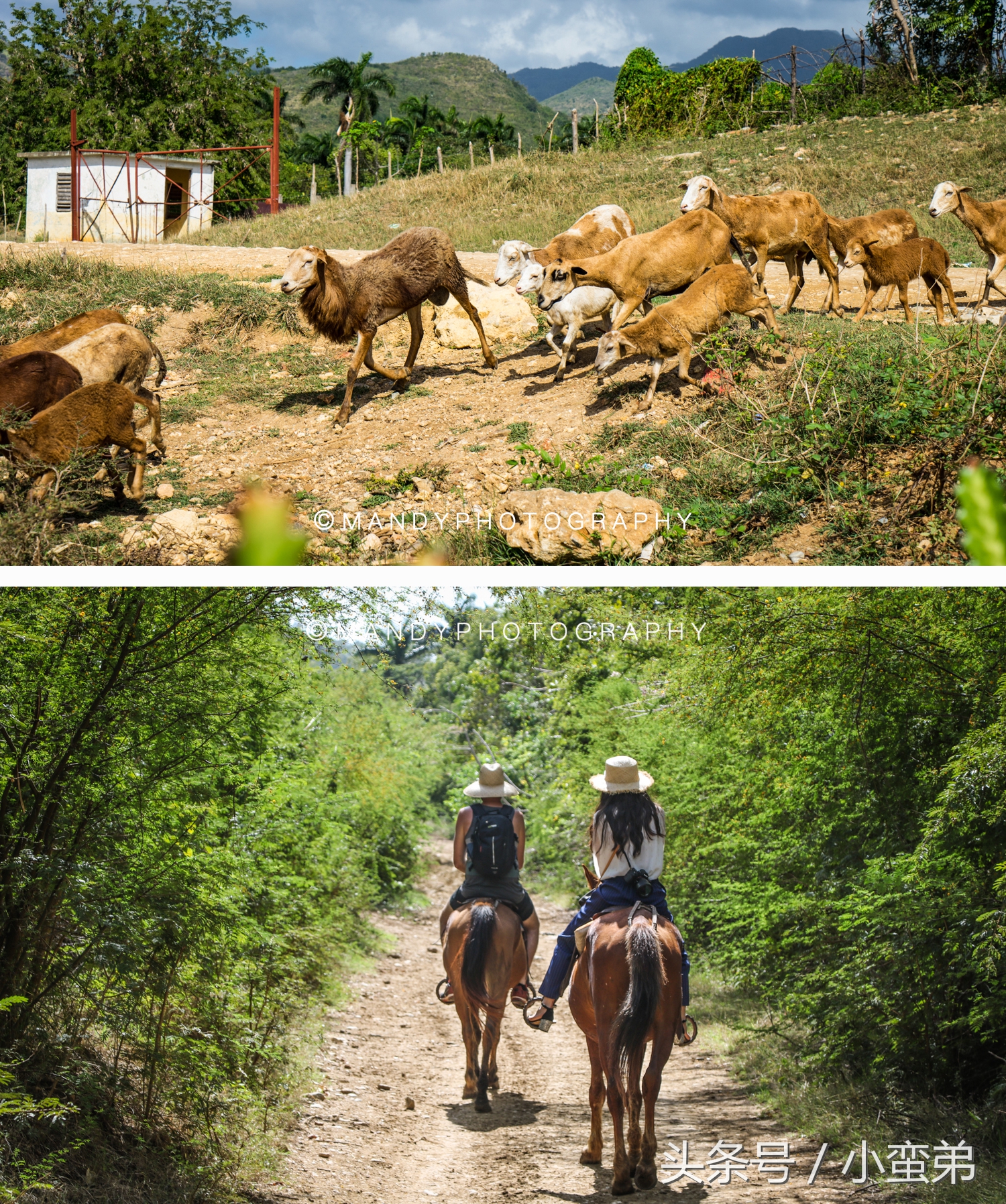 古巴是个什么样的国度,古巴神秘行适合自由行吗