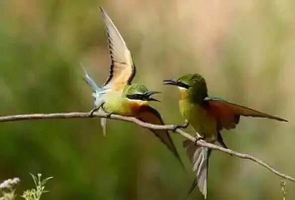 这几年巧家的变化,巧家的生活变化