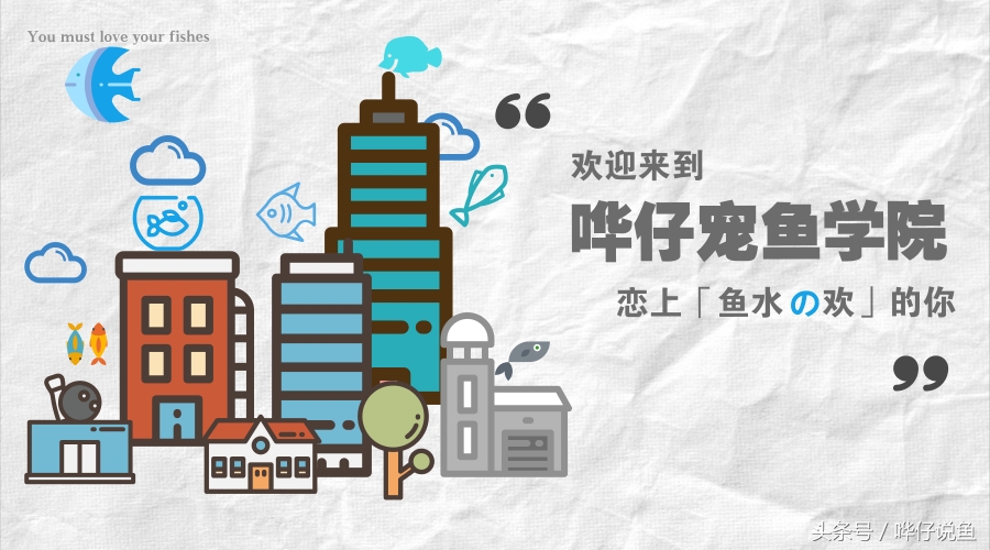 为啥我鱼缸的水老是有沫子,养鱼的鱼缸里有小小的泡泡是什么